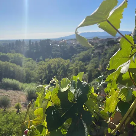 Quattro Gigli Palace Hotel 3*