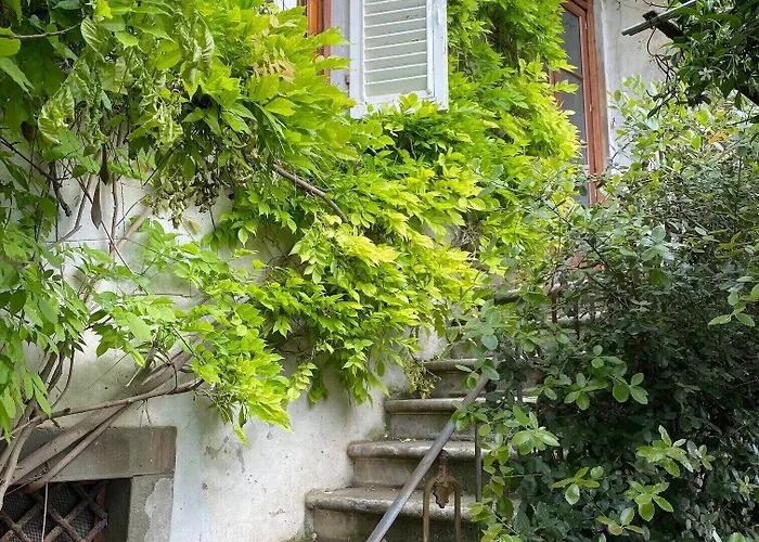 Quattro Gigli Montopoli in Val dʼArno